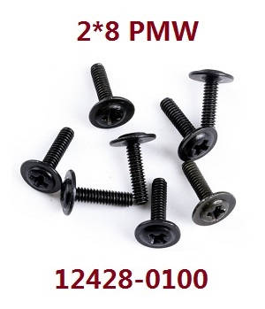 Wltoys 12423 12428 RC Car spare parts todayrc toys listing screws 2*8 PMW (0100)